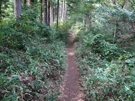 20171005hike (226)